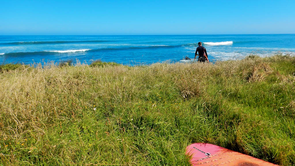 Surfing in Taranaki