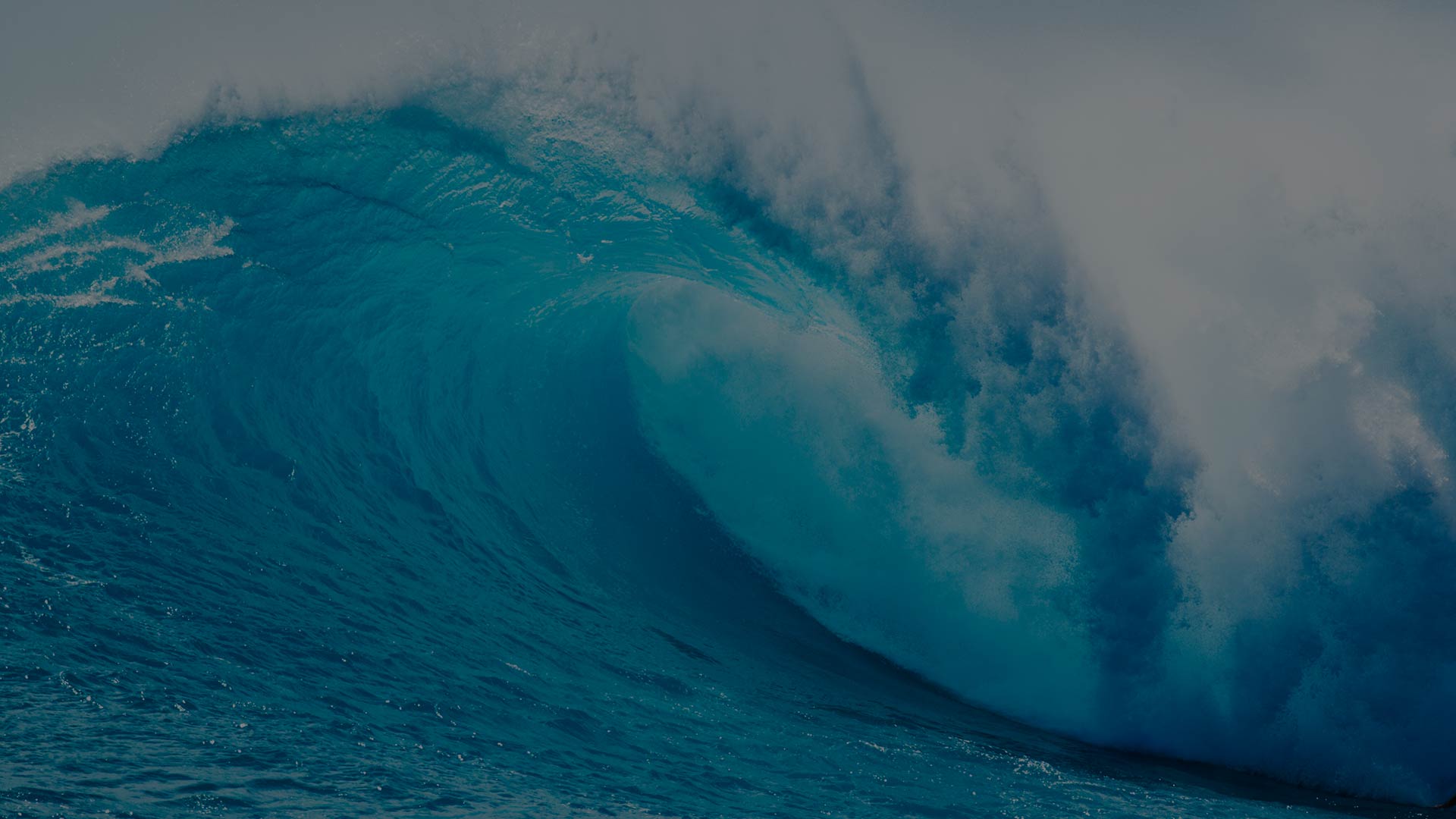 vertigo-laybuy-wave