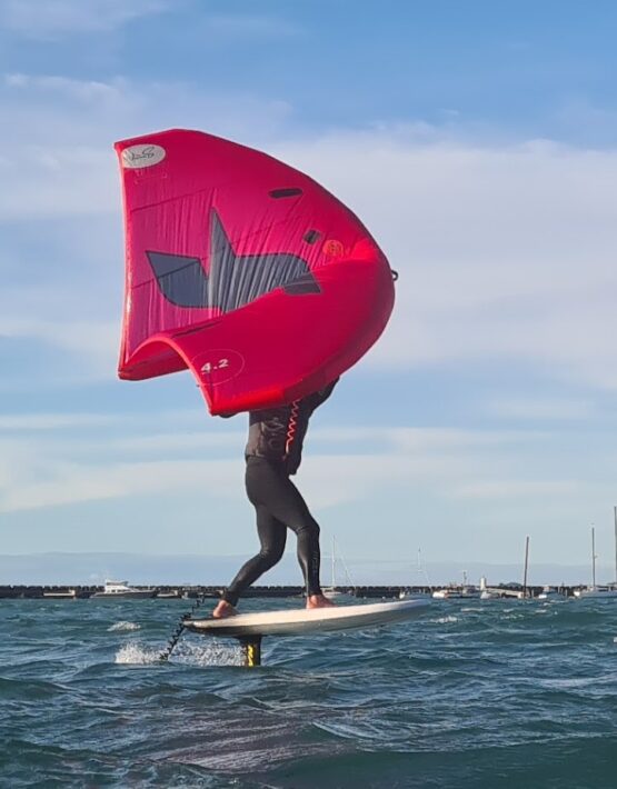 F1 F-ONE WING SURF SWING 4.2m