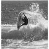TigerTwin_Lifes1_19_19