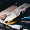 FCSII_Panda_Twinzer_4_1200x